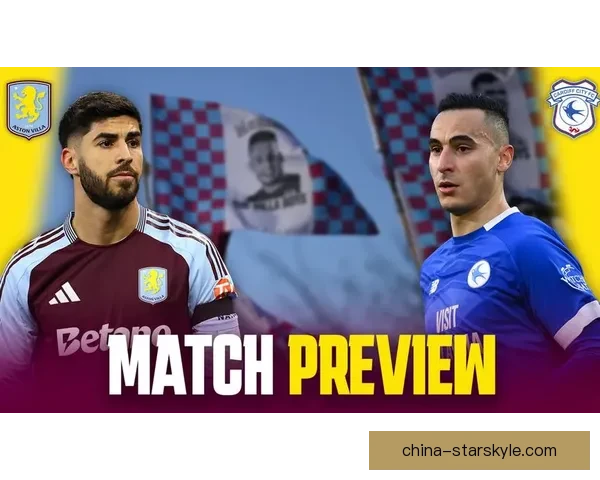 卡迪夫城因球迷恐同言论遭英足总指控